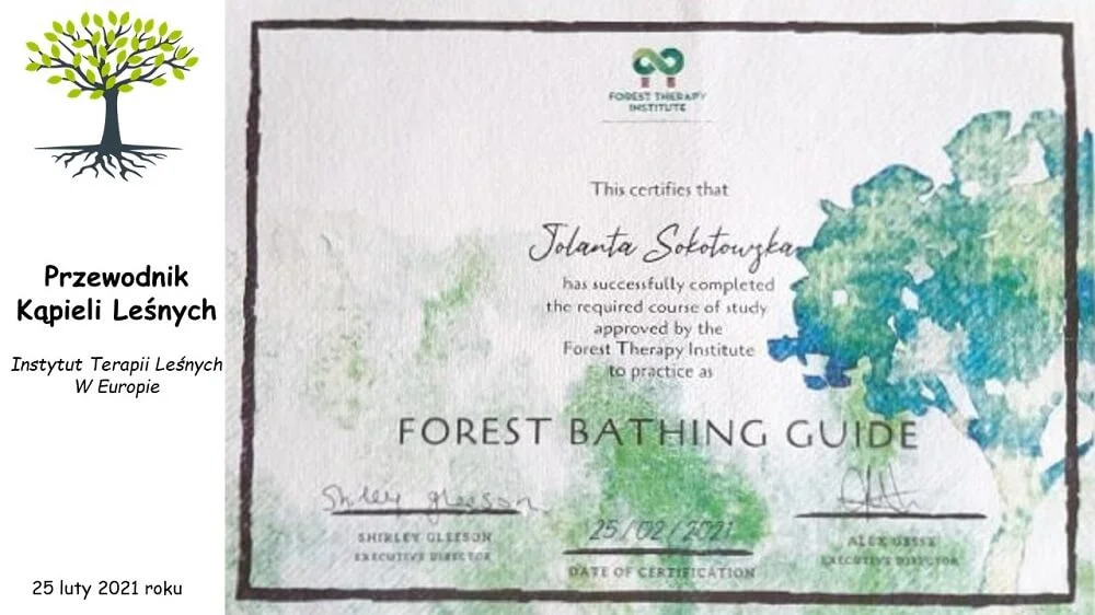 dyplom-przewodnika-kapieli-lesnych (1)