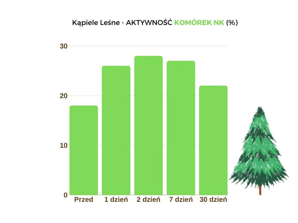 Kapiele-Lesne-wykres-NK-sosna