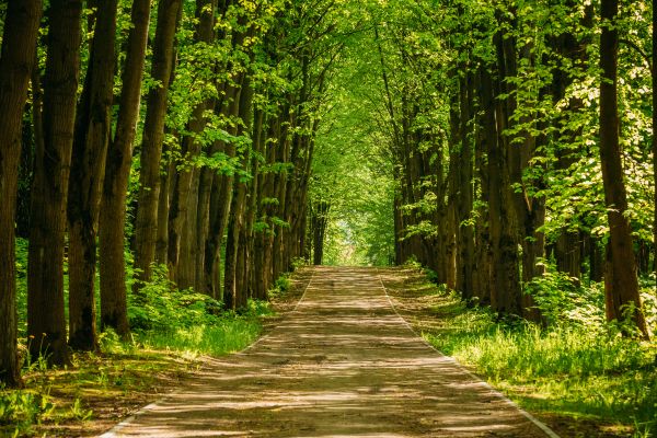 dzien-zdrowia-dla-firm-klinika-zdrowia-w-harmonii-small