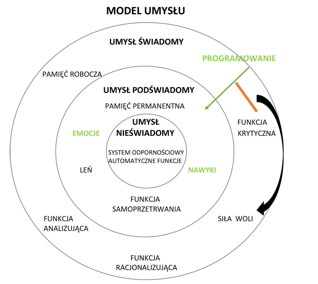 Model-Umysłu_graf