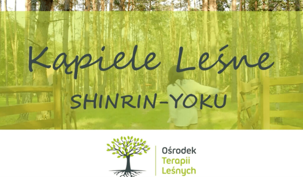 Kąpiele Leśne SHINRIN-YOKU w Ośrodku Terapii Leśnych