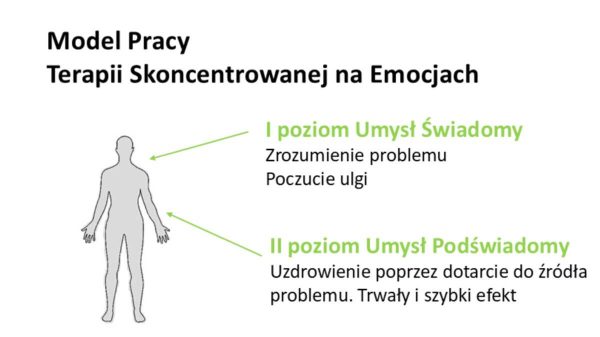 model-pracy-terapii-skontenctrowanej-na-emocjach